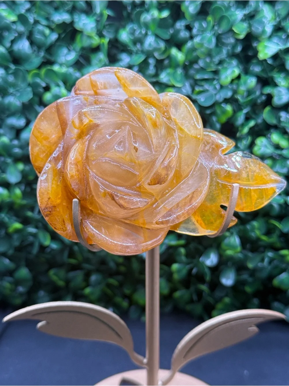 Beautiful Golden Healer Flower on Stand